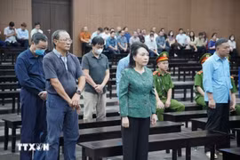 Cựu Bộ trưởng Bộ Y tế Nguyễn Thị Kim Tiến kháng cáo xin giảm nhẹ hình phạt