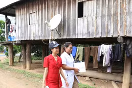 'Cõng' vắc xin tìm trẻ giữa đại ngàn