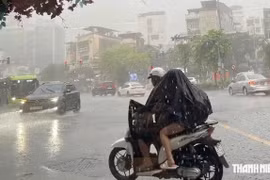 19 tỉnh, thành phố ứng phó mưa lớn, gió mạnh trên biển
