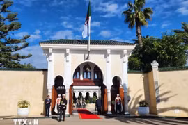 Algeria tuyên bố quốc tang sau làn sóng cháy rừng