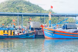 Khắc phục triệt để tồn tại, hạn chế trong chống khai thác IUU