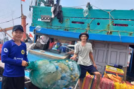 Giữ biển xanh, vững bước hội nhập nghề cá