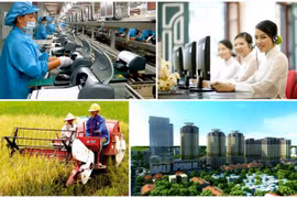 Đơn giản hóa điều kiện kinh doanh giúp kinh tế tư nhân phát triển