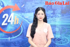 Gia Lai 24h: Chưa đến 30% tổng đàn chó, mèo trên toàn tỉnh tiêm vắc xin phòng bệnh dại