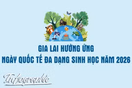 Gia Lai hưởng ứng Ngày Quốc tế Đa dạng sinh học năm 2026