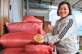 Chị Triệu Thị Ngần (làng Mông, xã Ya Hội, huyện Đak Pơ) phấn khởi khi vụ mùa vừa qua, lúa đạt năng suất cao. Ảnh: Đ.L