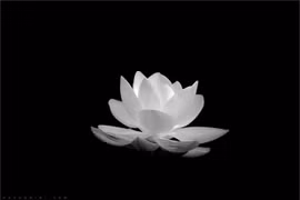 Lời cảm tạ của đại diện gia đình
