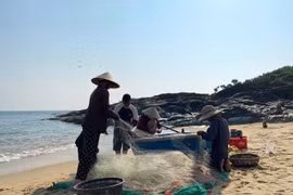 Cá từ biển lên rừng: Một thuở Sa Huỳnh gánh cá đổi lúa