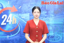 Gia Lai 24h: Công tác sát hạch, cấp giấy phép lái xe sẽ hoạt động trở lại giữa tháng 5