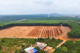 Dự án thành phần 3 đường bộ cao tốc Quy Nhơn - Pleiku: Khẩn trương triển khai các khu tái định cư