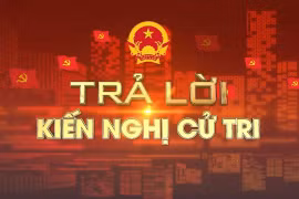 Ủy ban nhân dân tỉnh trả lời kiến nghị của cử tri 