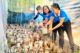Đồng hành cùng phụ nữ phát triển kinh tế