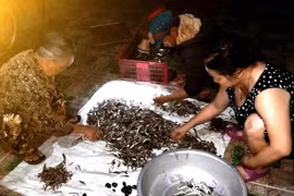 Nghề rim cá bống trứ danh hồ Lắk
