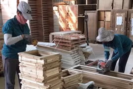 Kết hợp phát triển đô thị với các ngành kinh tế cốt lõi: Giải pháp tạo đột phá tăng trưởng 