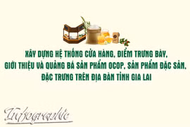 Xây dựng hệ thống cửa hàng, điểm trưng bày, giới thiệu và quảng bá sản phẩm OCOP, sản phẩm đặc sản, đặc trưng trên địa bàn tỉnh Gia Lai