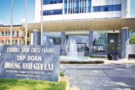 Ai đang 'săn đón' cổ phiếu Hoàng Anh Gia Lai?