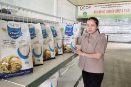 Xây dựng thương hiệu gạo: Nâng cao giá trị, tạo thuận lợi đầu ra 