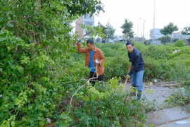 Những người tình nguyện làm sạch đường phố