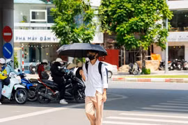Xuất hiện hơn 50 kỷ lục nắng nóng, miền Bắc đón mùa đông rất ấm