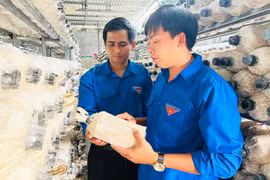 “Tiếp sức” cho thanh niên khởi nghiệp