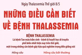 Ngày Thalassemia Thế giới 8/5: Những điều cần biết về bệnh Thalassemia