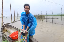 Mùa giăng lưới trên những cánh đồng vùng cao