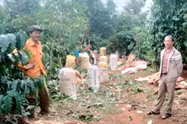 Ông Hoàng Xuân Thanh (bìa phải)-Phó Chủ nhiệm CLB “Nông dân với pháp luật” xã Ia Phìn (huyện Chư Prông) phổ biến các quy định pháp luật cho nông dân. Ảnh: H.M