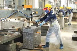 Gia Lai tích cực hỗ trợ doanh nghiệp triển khai nhanh dự án
