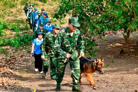 “Lá chắn mềm” nơi phên giậu Tổ quốc