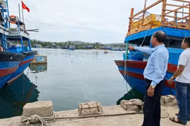 Khẩn trương khắc phục các hạng mục xuống cấp tại khu neo đậu tránh trú bão Cảng cá Tam Quan