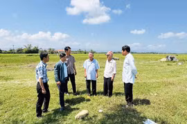Bình Hiệp: Quả ngọt sau 1 năm vận hành chính quyền địa phương 2 cấp