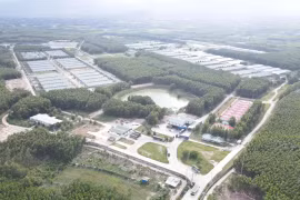 Thu hút đầu tư vào chăn nuôi gắn với bảo vệ môi trường 
