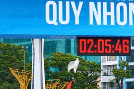 VnExpress Marathon Quy Nhon 2026: Thời tiết chiều lòng, runner bung sức