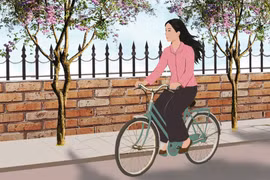 Khi phố mùa hoa