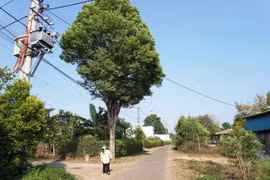 Bình yên Ia Nueng 