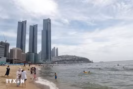 5 phim của Việt Nam dự Liên hoan phim Busan ở Hàn Quốc