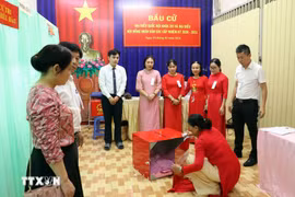 Dự kiến ngày 22/3 công bố kết quả bầu cử đại biểu Quốc hội khóa XVI