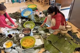 Tết quê hương trong trái tim du học sinh Việt