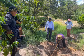 Gần dân từ những mô hình sinh kế