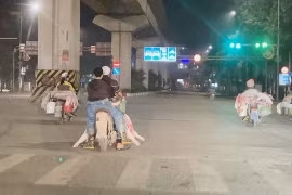 Thịt bẩn tung hoành qua lỗ hổng kiểm dịch