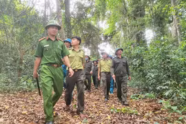 Biến giá trị rừng thành nguồn lực phát triển kinh tế xanh
