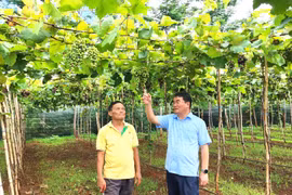 Nâng cao năng lực lãnh đạo của bí thư đảng ủy cấp xã