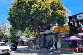 Hương nhãn 