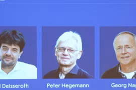 Ba nhà khoa học giành giải Nobel Y học 2026 nhờ 'công tắc' ánh sáng