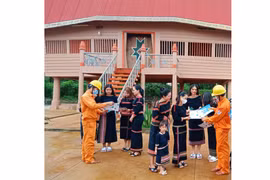 Công ty Điện lực Gia Lai nỗ lực đảm bảo an toàn lưới điện