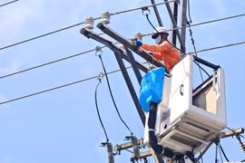 Vì sao Bộ Công thương muốn đưa EVN về quản?