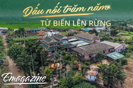 Dấu nối trăm năm từ biển lên rừng