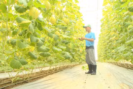 Đổi mới hoạt động, đồng hành cùng hội viên nông dân