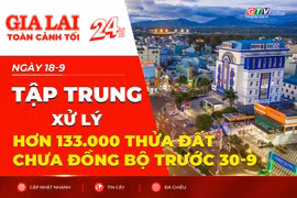 Toàn cảnh Gia Lai 24h: Tập trung xử lý hơn 133.000 thửa đất chưa đồng bộ trước 30-9