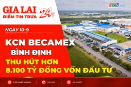 Điểm tin trưa: KCN Becamex Bình Định thu hút hơn 8.100 tỷ đồng vốn đầu tư